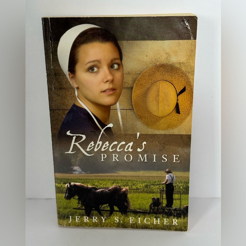Rebecca’s promise by Jerry’s eicher paperback book